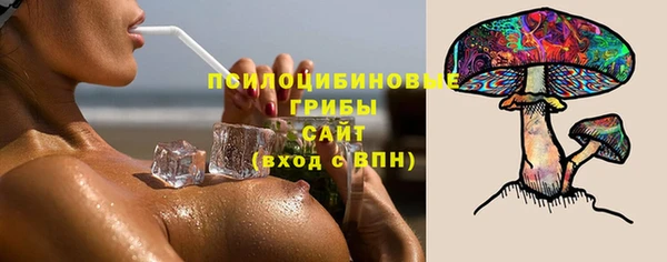 дмт Сосновоборск