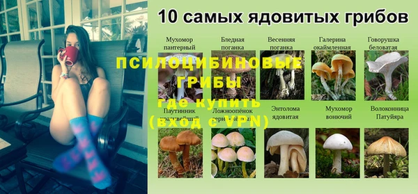 дмт Сосновоборск
