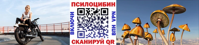 Псилоцибиновые грибы ЛСД наркотики Торжок