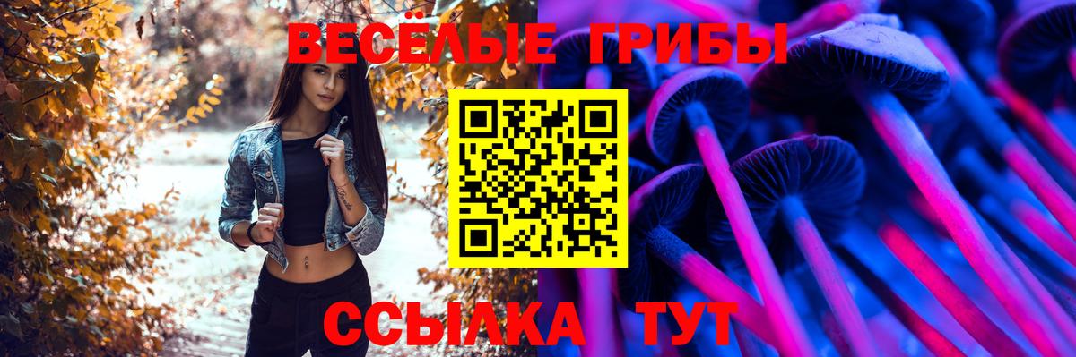 купить  сайты  Вход с VPN  Торжок  Псилоцибиновые грибы мухоморы 